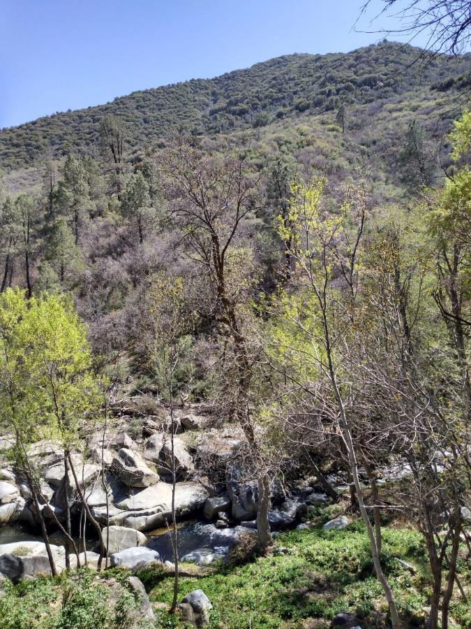 Quiet Mind Lodge, Spa & Retreat Sequoias Kernville Ngoại thất bức ảnh