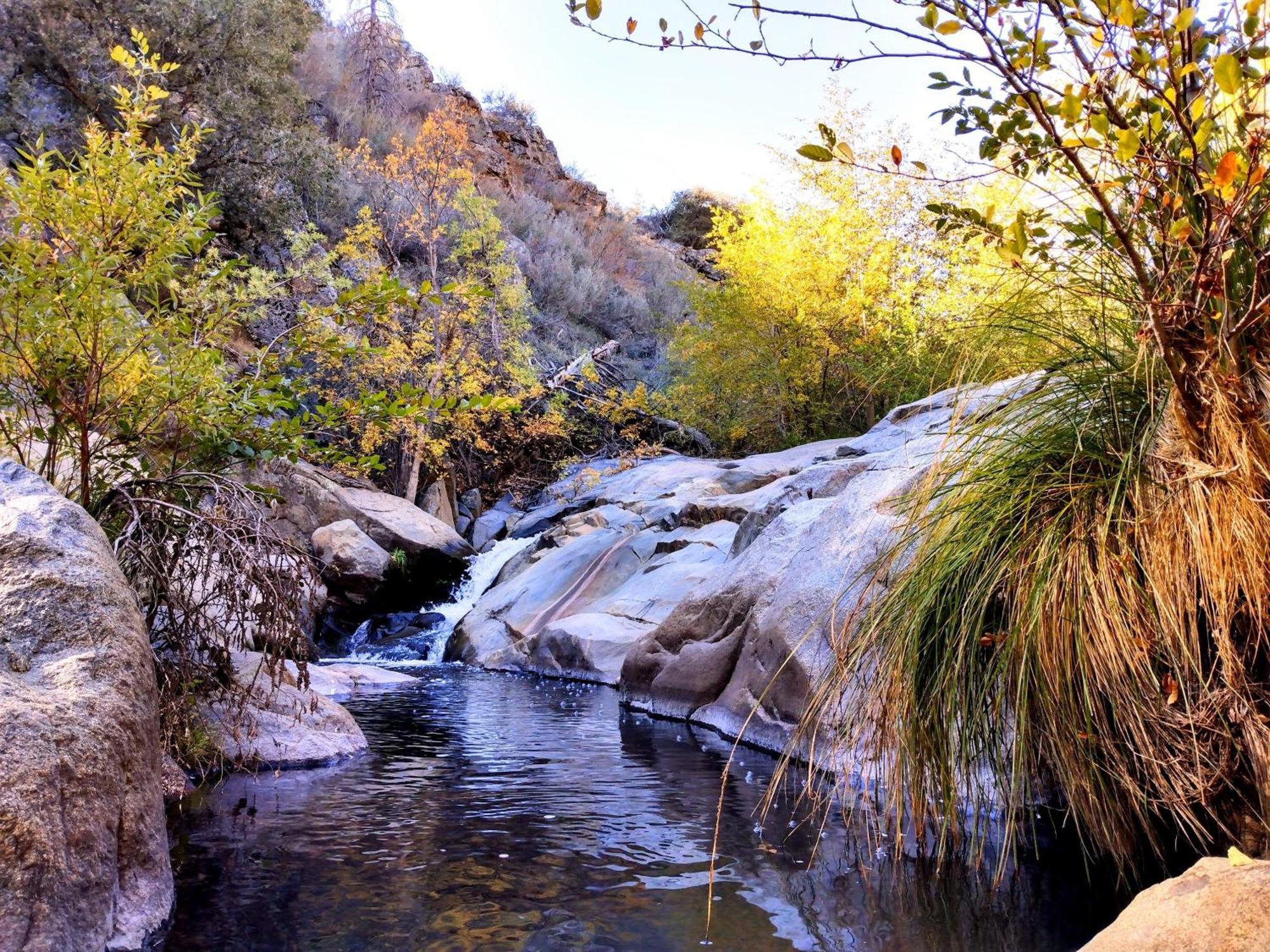 Quiet Mind Lodge, Spa & Retreat Sequoias Kernville Ngoại thất bức ảnh